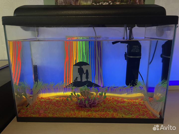 Аквариум, полный набор