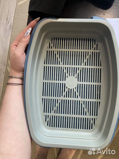 Лоток для котят