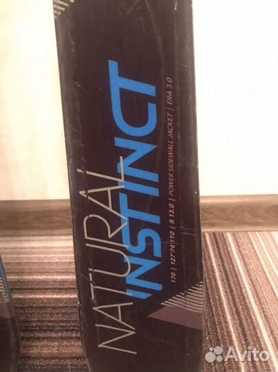 Горные лыжи