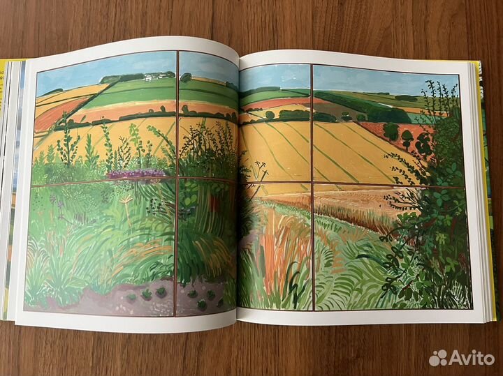 David Hockney A bigger picture Book