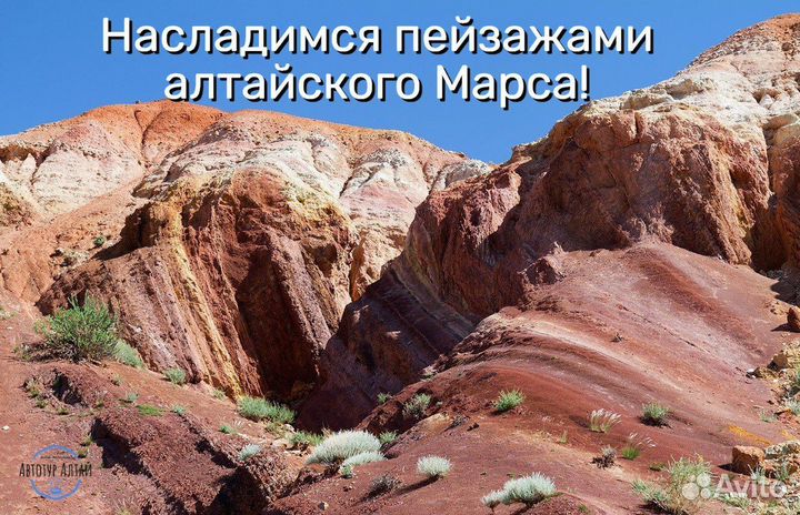 Тур на Алтай: Хан Алтай