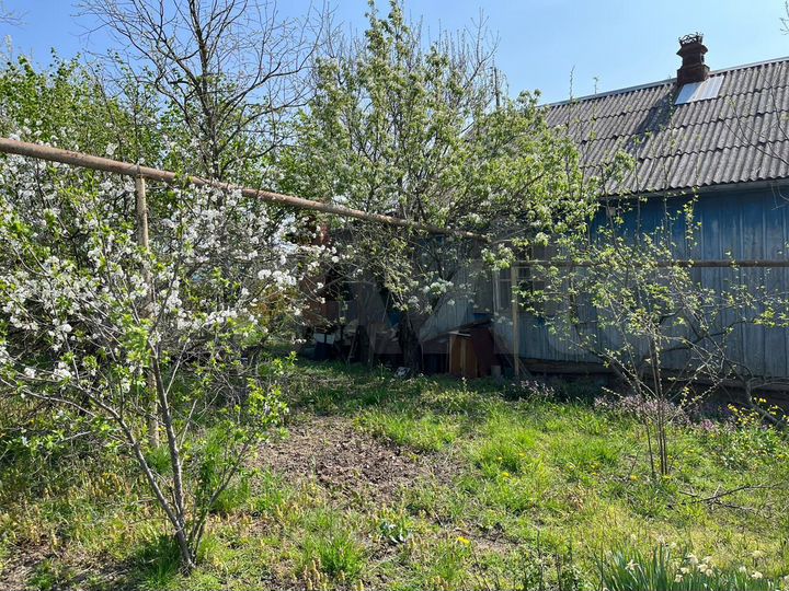 Дом 38 м² на участке 16 сот.