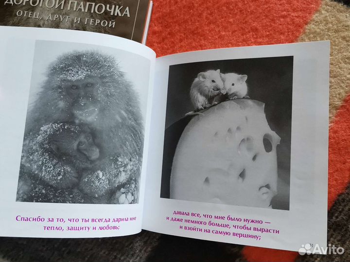 Бредли Тревор Грив - Мамочка, Папочка