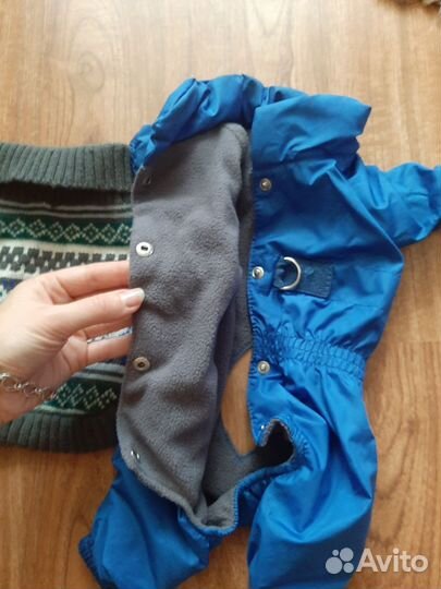 Одежда для собак