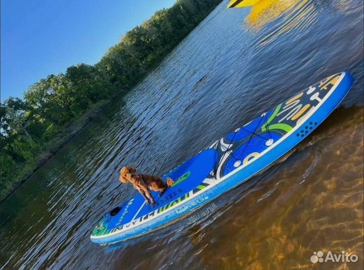 Sup board аренда