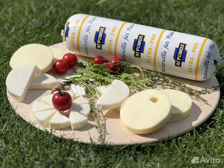 Сыр моцарелла оптом