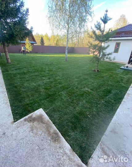 Укладка газона под ключ