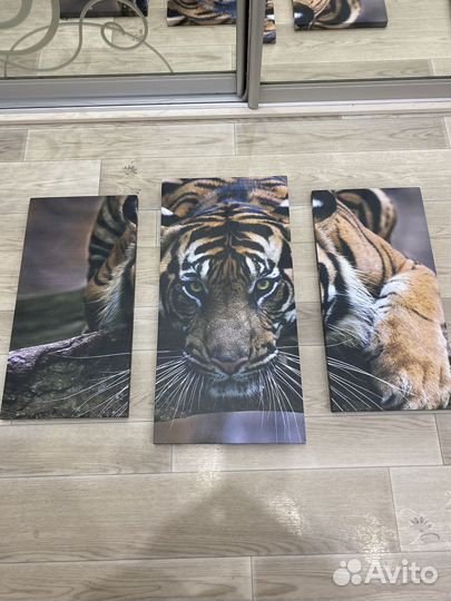 Модульная картина тигр