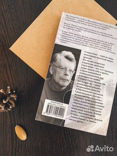 Книга Стивен Кинг