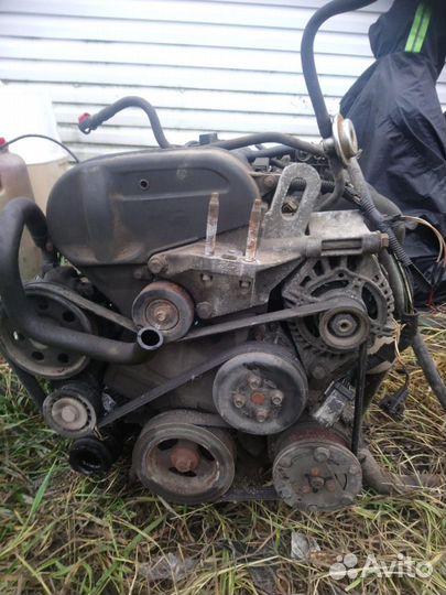 Двигатель Ford Focus 1