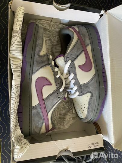 Nike sb dunk low Purple Pigeon