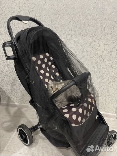 Прогулочная коляска babalo