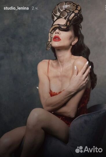 Аренда змеи