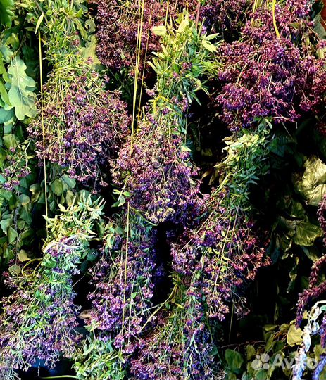 Веники для бани можжевеловые с душистыми травами