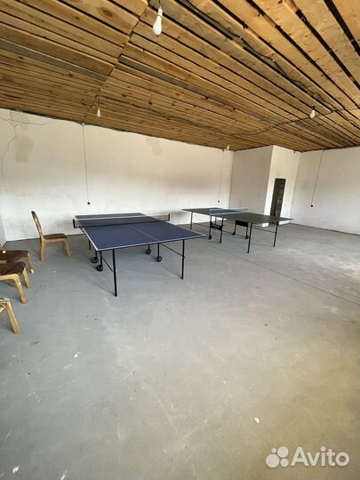 Настольный теннис, пинг понг