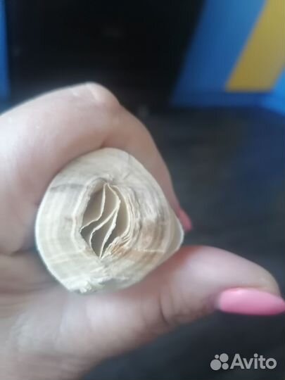 Калька рулон