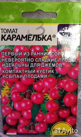 Рассада помидор черри