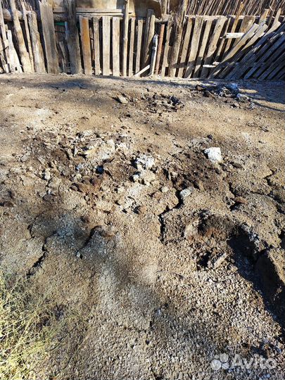 Навоз бесплатно самовывоз