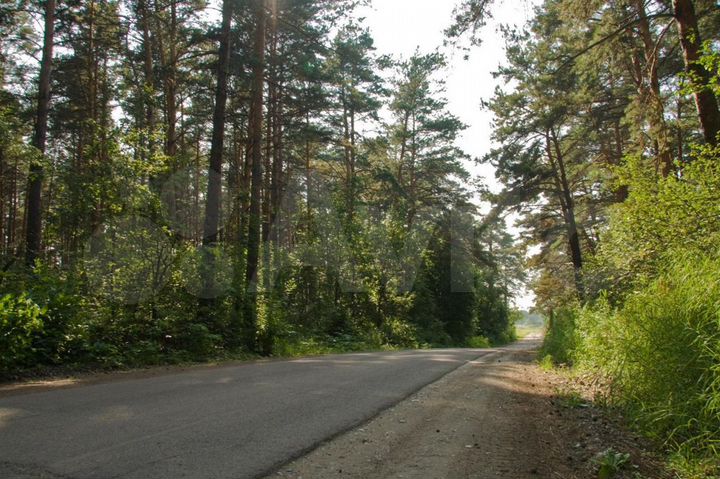 Участок 14,5 сот. (СНТ, ДНП)