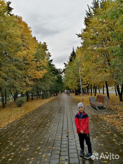 Ветровка