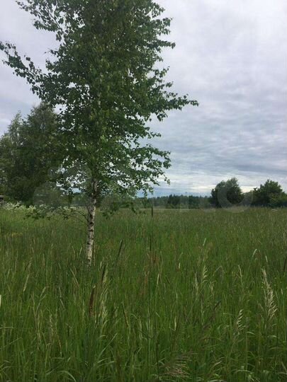 Участок 15 сот. (ИЖС)