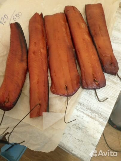 Рыба домашнего холодного копчения