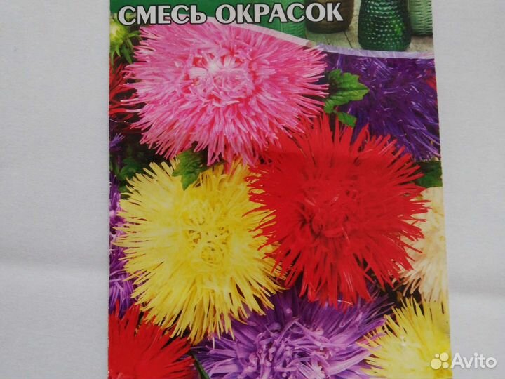 Рассада цветов