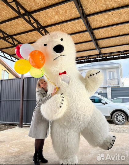 Белый медведь поздравление аниматор на праздник