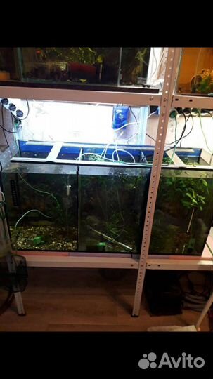 Товары для животных