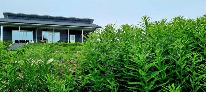 Дом 150 м² на участке 15 сот.