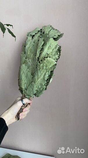 Веники дубовые