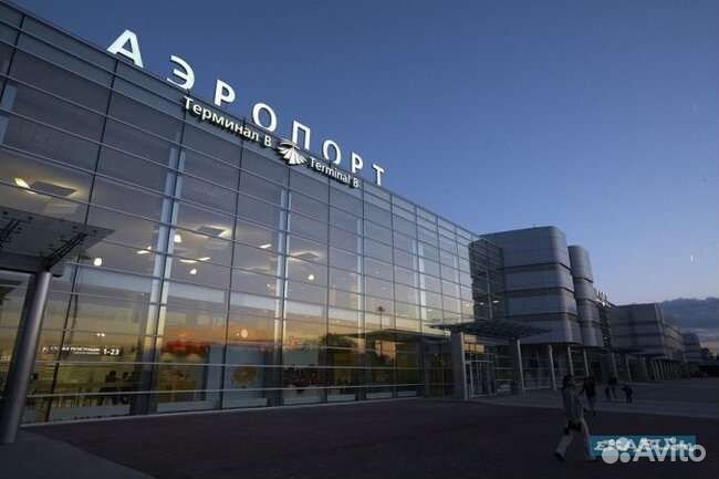 Грузчик багажа