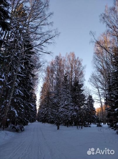 Загородные туры по экомаршрутам СПб и Ленобласти