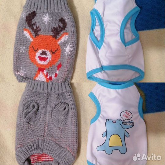 Одежда для собак мелких пород