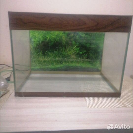 Аквариум