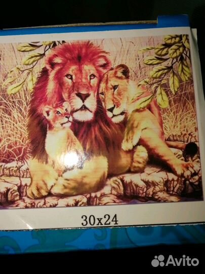 Картины Алмазная вышивка