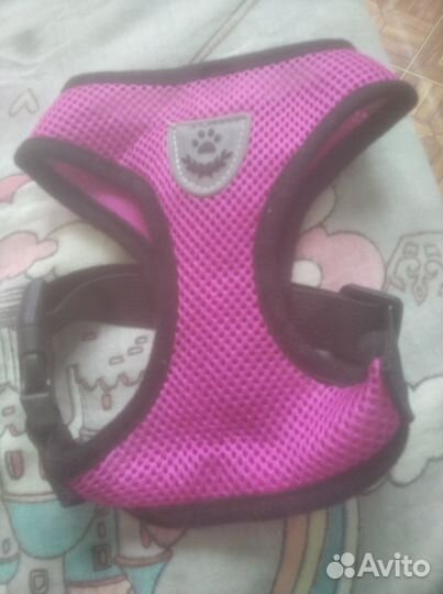 Шлейка для маленькой собаки