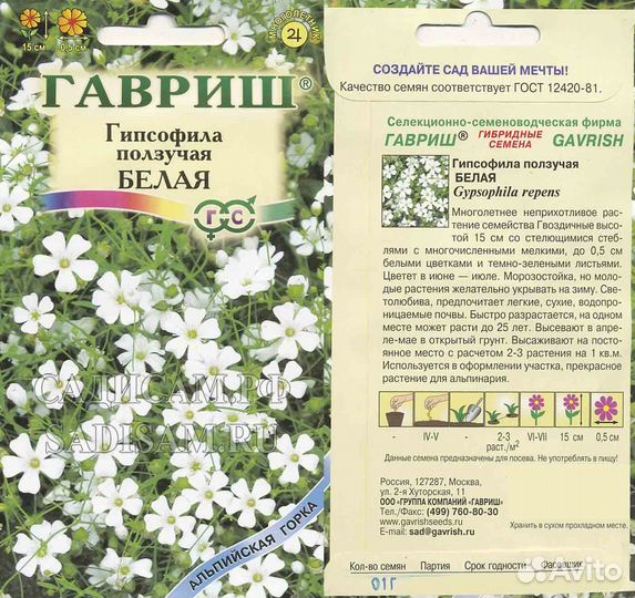 Гипсофила Белая ползучая (Гавриш) Ц 0,05г многолетник 15-20см, белая