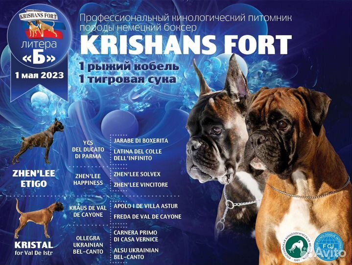 Щенки немецкого боксёра, литера 