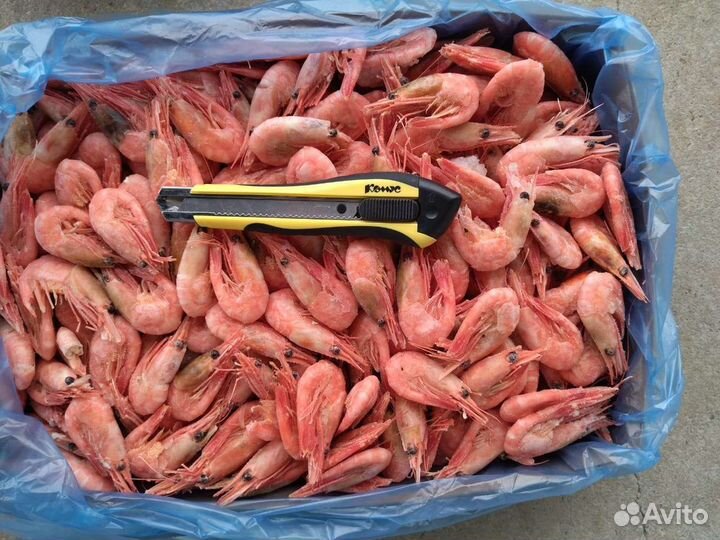 Креветка оптом, от 10 кг