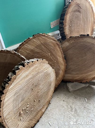 Срезы белого клена