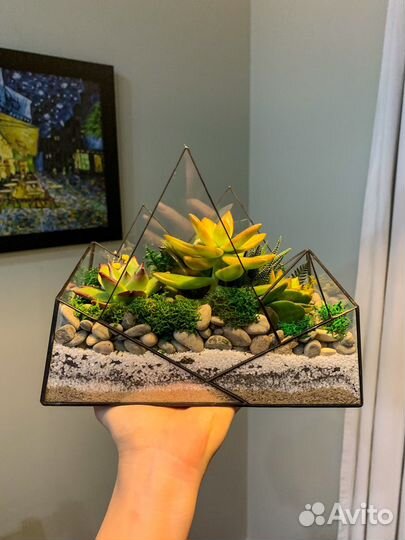 Флорариум с суккулентами