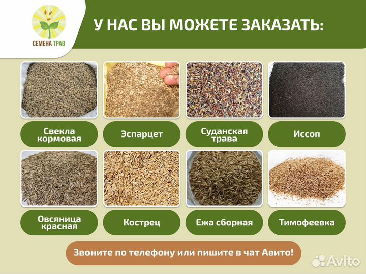 Семена козлятника