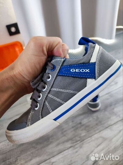 Кеды geox 30 размера