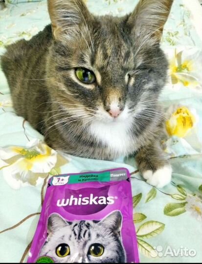 Дрель ручная