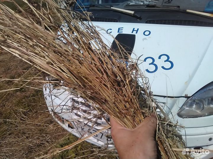 Сено 2024года заготовки возможна доставка