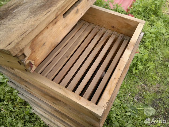 Дадановские ульи