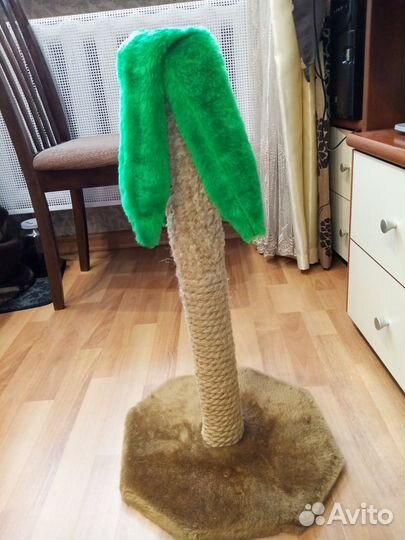 Товары для кошек