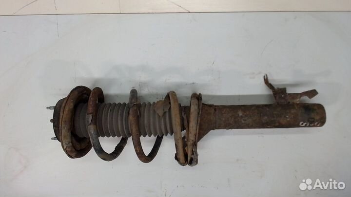 Амортизатор подвески Ford Transit, 2004