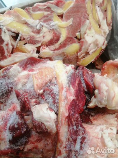 Говядина, хрящи, жилы (корма для животных), обрезь